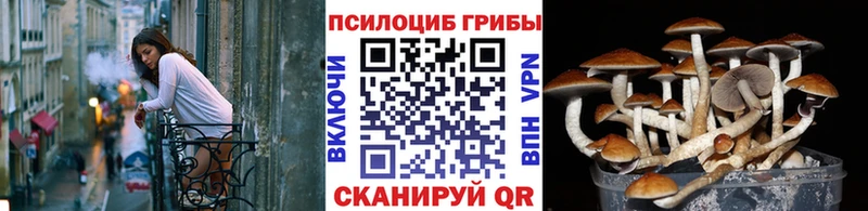 Псилоцибиновые грибы GOLDEN TEACHER  Городище 